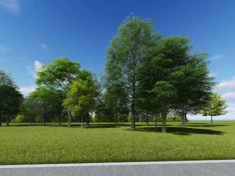 modern big tree landscape tree lawn psd