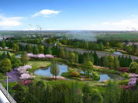 modern wetland park garden bird's eye view psd