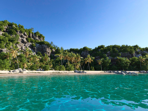 Beach landscape coconut tree landscape stone