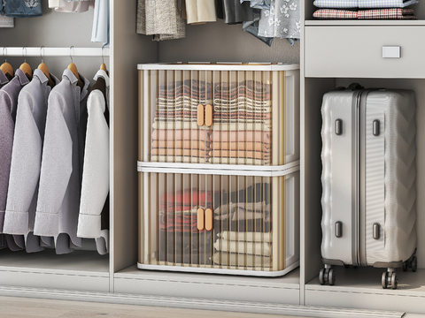 Wardrobe Storage Box Locker