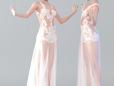 Modern Lace Long Dress Beauty Figure