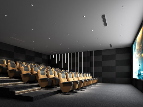 Modern Cinema Projection Hall