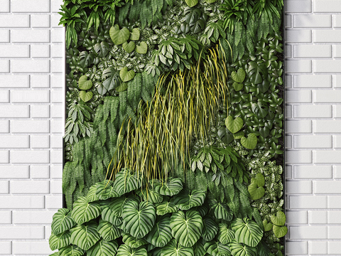 Modern Green Plant Wall