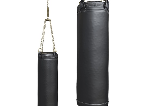 Modern Leather Sandbag