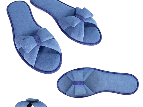 Modern Blue Slippers