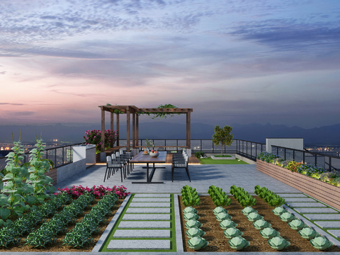 Modern Roof Terrace Garden Night View