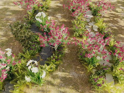 Country Road Vegetable Weeds Flowers