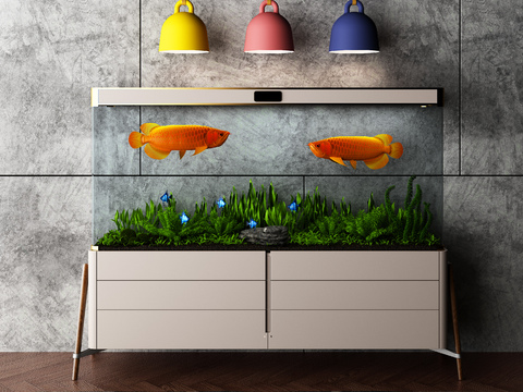 Modern fish tank aquarium