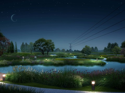 modern wetland park night landscape psd