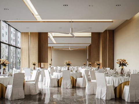 Modern Hotel Ballroom