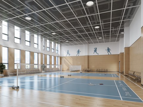 Modern Badminton Gymnasium