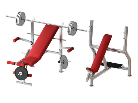 Modern barbell rack fitness equipment