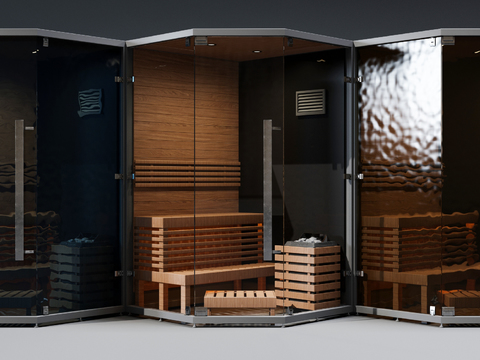 Modern Dry Steamed Sauna Combination