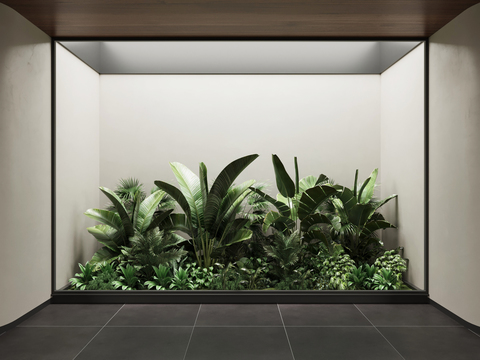 Indoor Green Plant Shrub Landscape