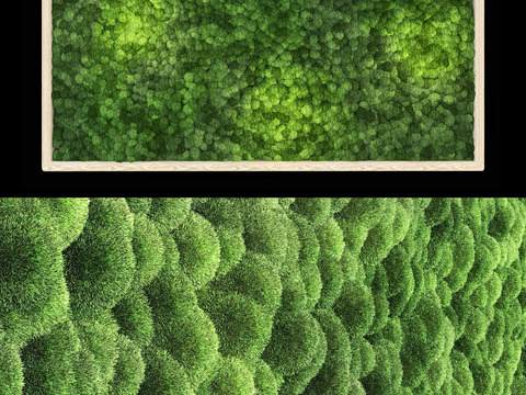 Modern moss plant wall