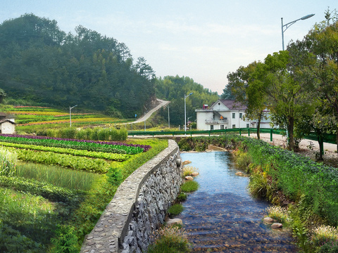 modern river vegetable garden psd