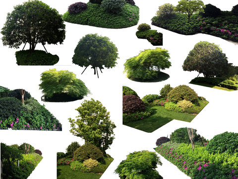 modern landscape tree big tree bushes psd