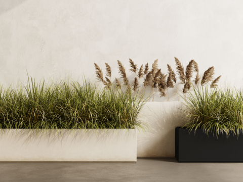 Modern Green Plant Bonsai Flower Box