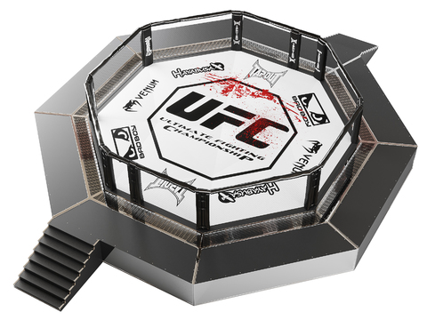 Modern UFC Octagon Boxing Challenge