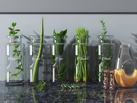 Modern glass water to raise green plants