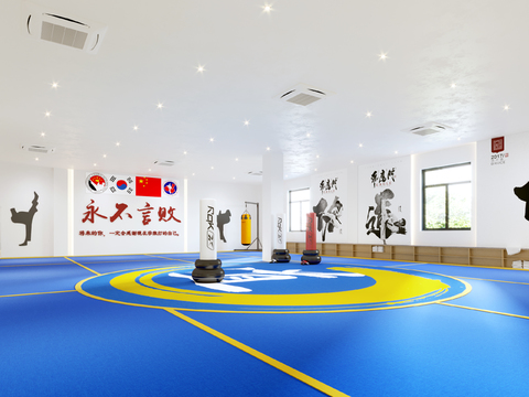 Modern Taekwondo Hall