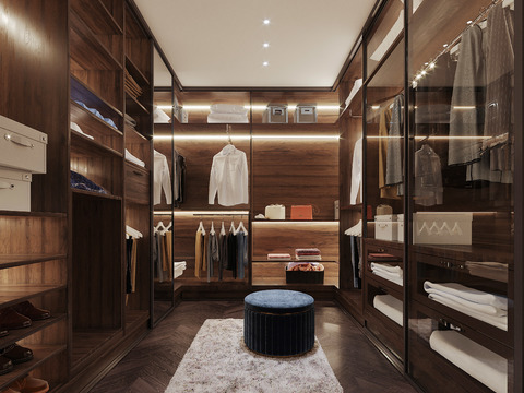 Modern Affordable Luxury Style Cloakroom