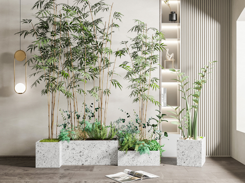 Modern bamboo potted plant