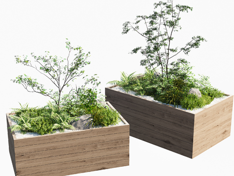 Modern Green Plant Flower Box