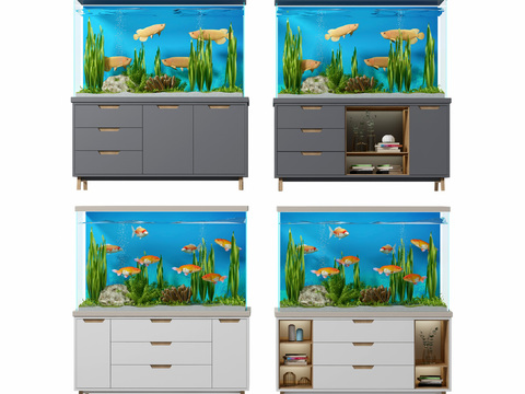 Modern aquarium aquarium combination