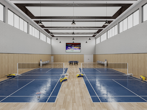 Modern Indoor Badminton Hall