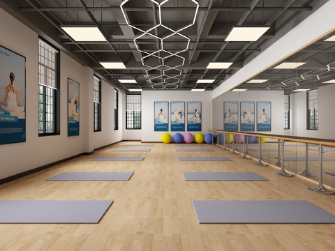 Modern Yoga Studio