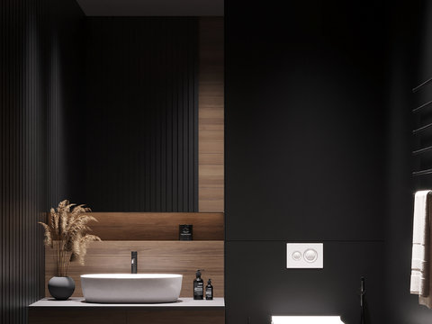 Dark Style toilet sink