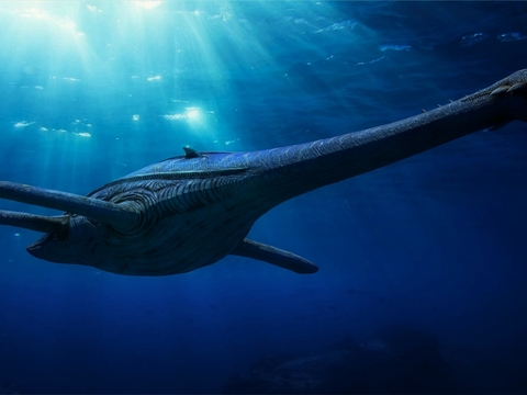 Modern underwater plesiosaur