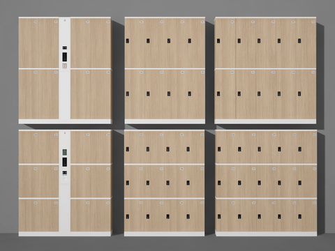 Wardrobe Storage Cabinet Locker Locker Locker