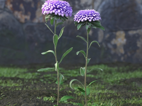 Modern Purple Flower