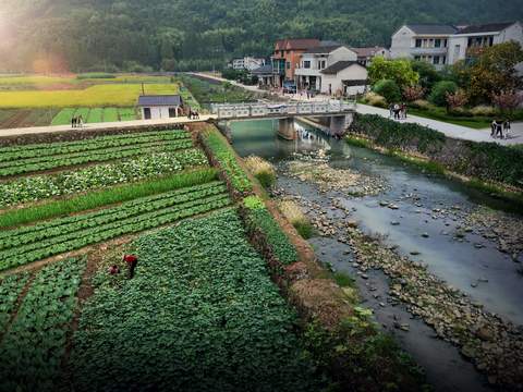 new rural vegetable farm bird's eye view psd