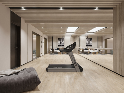 Modern Affordable Luxury Style Leisure Room Gym