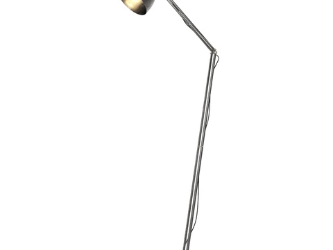 Modern Metal Floor Lamp Free