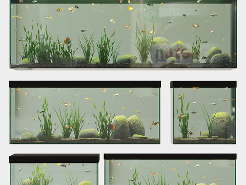 Modern glass fish tank aquarium combination