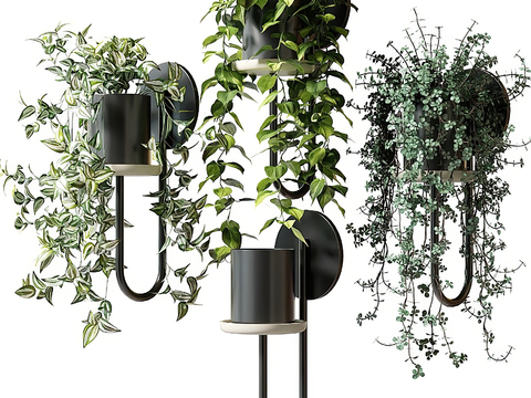 Modern Green Plant Hanging Basket