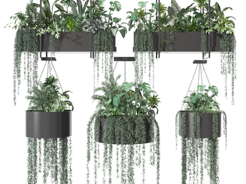 Modern Green Plant Pot Hanging Basket