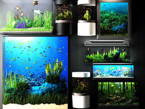 Modern glass fish tank aquarium combination