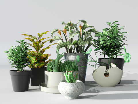 Modern Green Plant Potted Free