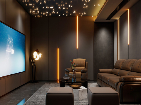 Audio-visual room Audio-visual room Home theater