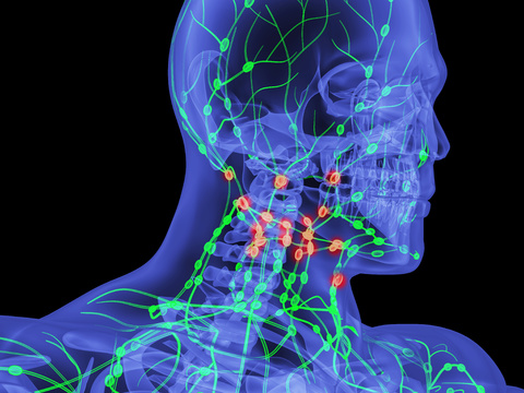 human lymphatic system