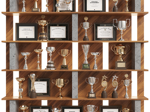 Trophy Medal Honor Cabinet Honor Wall