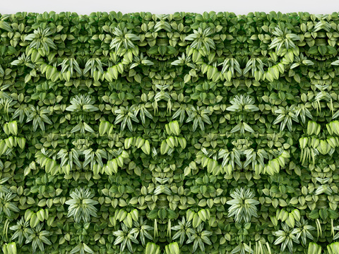 Modern plant Wall