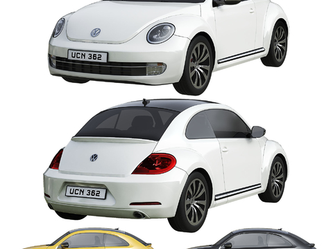 Hyundai Volkswagen Beetle