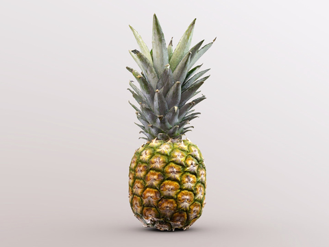 Modern pineapple fruit