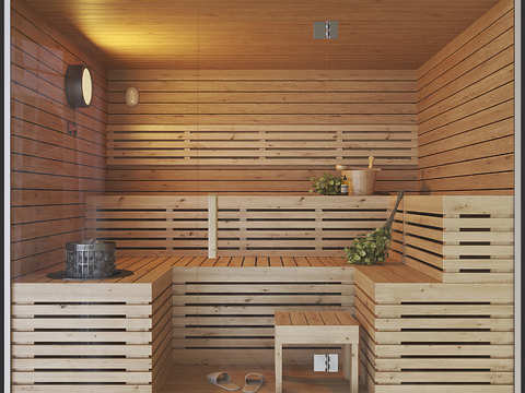 Modern sweat steaming sauna room